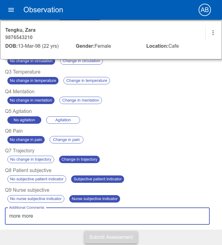 The DENWIS concern questions - structured capture of nursing concern